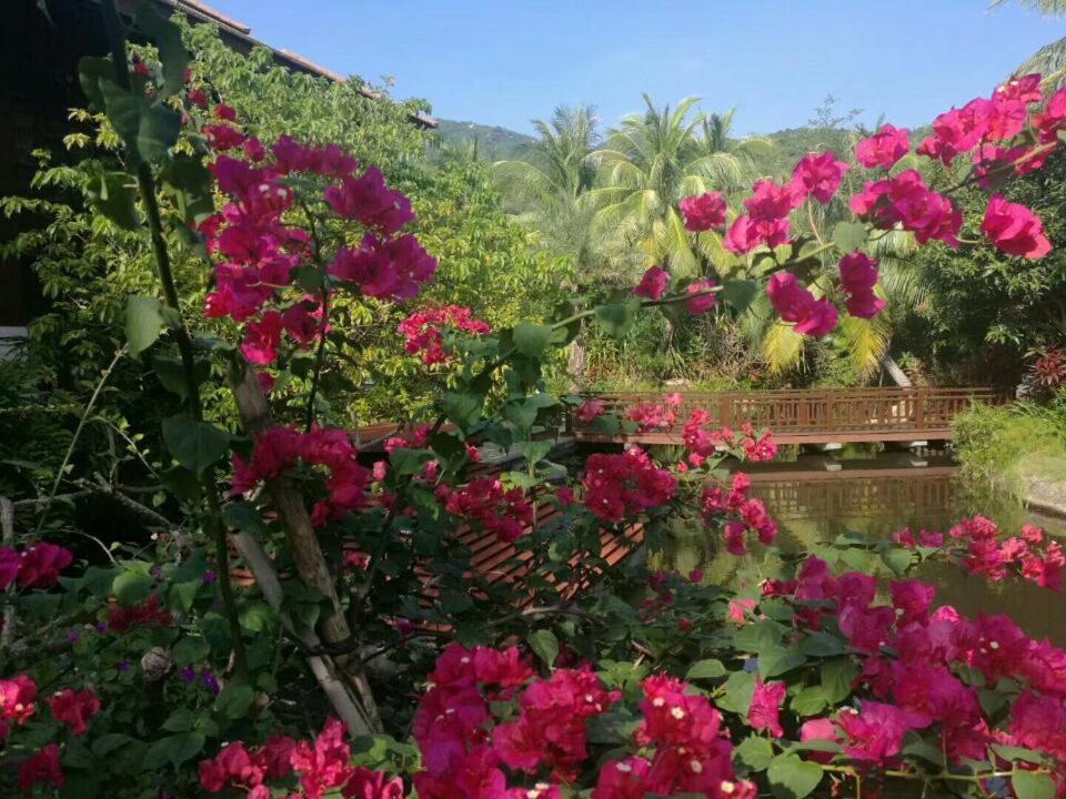 Stony Brook Villa Jianguo Resort Sanya Exterior foto